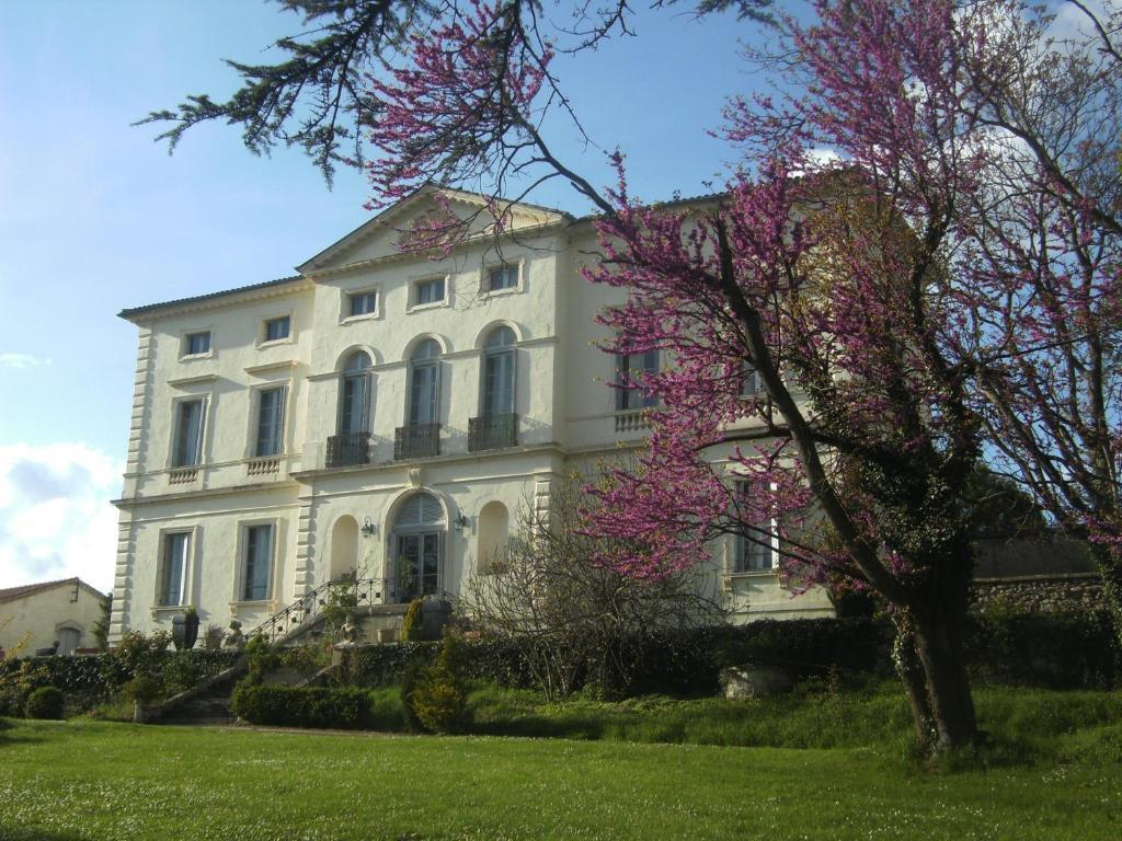 Chambres D'Hotes Du Chateau De Saint Sulpice La Sauvetat-sur-Lède Exteriör bild